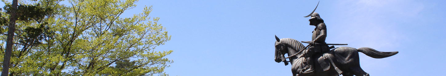 年間スケジュール